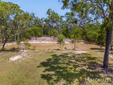 House For Sale - QLD - Pacific Haven - 4659 - 2.5 Acre Property - 500m from the Burrum River Boat Ramp!  (Image 2)