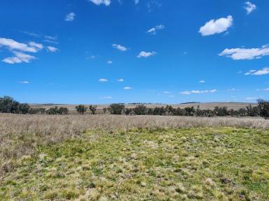 Lifestyle For Sale - QLD - Stanthorpe - 4380 - RURAL LAND - 25 ACRES  (Image 2)