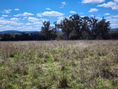 Lifestyle For Sale - QLD - Stanthorpe - 4380 - RURAL LAND - 25 ACRES  (Image 2)