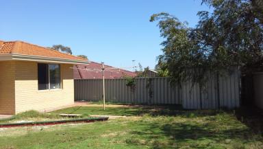 House Leased - WA - Beeliar - 6164 - FAMILY HOME 4X2 FOR RENT $550/WEEK  (Image 2)