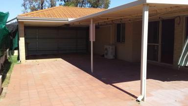 House Leased - WA - Beeliar - 6164 - FAMILY HOME 4X2 FOR RENT $550/WEEK  (Image 2)