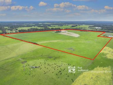 Livestock For Sale - WA - Cowaramup - 6284 - RURAL FARM WITH BUSSELL HIGHWAY FRONTAGE  (Image 2)