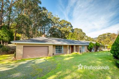 House For Sale - VIC - Gilderoy - 3797 - LAKE MURATORE – LIFESTYLE / LUCRATIVE BUSINESS OPPORTUNITY
SPECIAL USE ZONE 2  (Image 2)