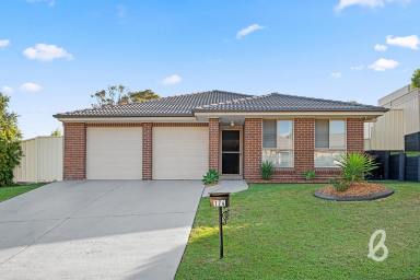 House Sold - NSW - Singleton - 2330 - Immaculate Family Home  (Image 2)