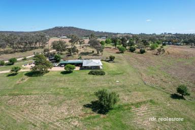 Lifestyle For Sale - NSW - Inverell - 2360 - RURAL LIVING ON THE EDGE OF TOWN  (Image 2)