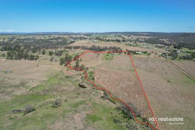 Lifestyle For Sale - NSW - Inverell - 2360 - RURAL LIVING ON THE EDGE OF TOWN  (Image 2)