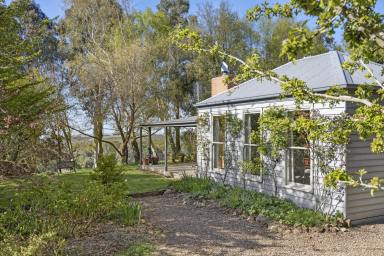 House For Sale - VIC - Musk - 3461 - ALTISSIMO ESTATE – Big Views, Bold Bones & A Forever Home in Waiting  (Image 2)