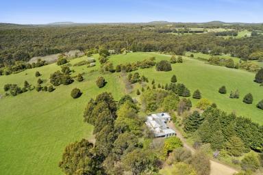 House For Sale - VIC - Musk - 3461 - ALTISSIMO ESTATE – Big Views, Bold Bones & A Forever Home in Waiting  (Image 2)