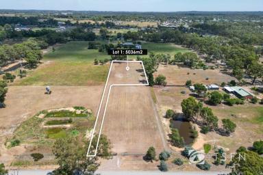 Residential Block For Sale - VIC - East Bendigo - 3550 - Scenic Residential Lifestyle Allotment Just 6km from CBD  (Image 2)