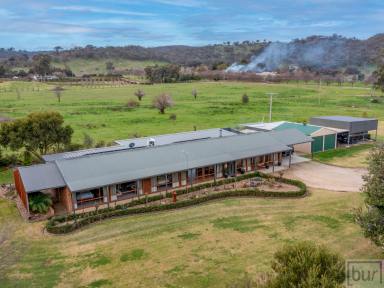 House For Lease - NSW - Splitters Creek - 2640 - STUNNING RURAL LIFELYLE 10 MINUTES FROM ALBURY  (Image 2)