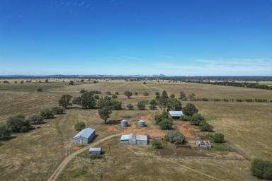 Mixed Farming For Sale - NSW - Euberta - 2650 - Country Carbon Investment Opportunity!  (Image 2)