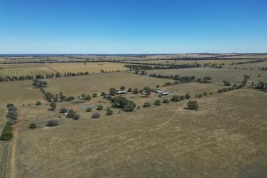 Mixed Farming For Sale - NSW - Euberta - 2650 - Quality Country close to WAGGA WAGGA
 Purchase as a whole or the pick of two lots!  (Image 2)