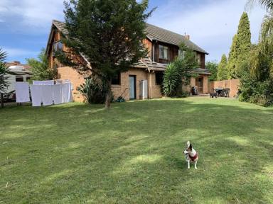 House For Lease - NSW - Thurgoona - 2640 - Unique Chalet style home  (Image 2)