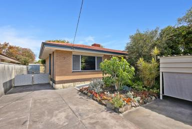 House Sold - WA - Riverton - 6148 - Family Home with Options Galore!  (Image 2)