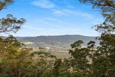 Lifestyle For Sale - NSW - Kangaroo Valley - 2577 - Night Sky  (Image 2)