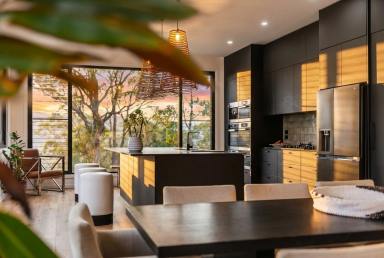 Lifestyle For Sale - NSW - Kangaroo Valley - 2577 - "Night Sky"  (Image 2)