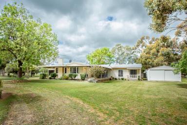 Lifestyle For Sale - VIC - Apsley - 3319 - Glenrowan: aspect, position and opportunity  (Image 2)