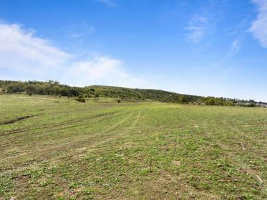 Residential Block Sold - QLD - Gowrie Junction - 4352 - Beautiful Position!  (Image 2)