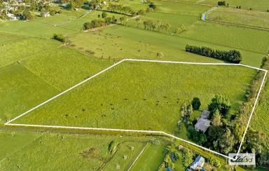 Acreage/Semi-rural For Sale - VIC - Sale - 3850 - Acreage In Town  (Image 2)