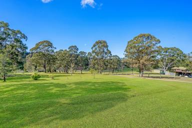 House Sold - NSW - Clarence Town - 2321 - Renovate, Extend Or Rebuild  (Image 2)