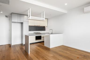 Apartment Leased - VIC - Cheltenham - 3192 - ARCHITECTUALLY DESIGNED | PRIME POSITION  (Image 2)