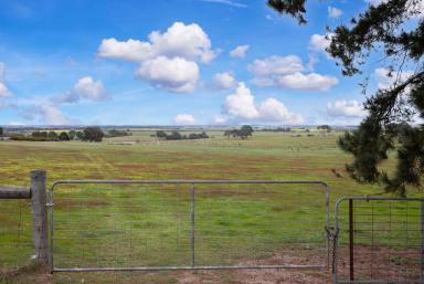 Residential Block For Sale - VIC - Rokewood Junction - 3351 - Undulating Acreage With Stunning Views!  (Image 2)