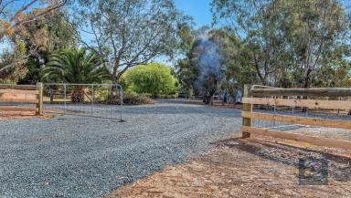 Lifestyle For Sale - VIC - Echuca - 3564 - Rural Escape on 100 Acres  (Image 2)