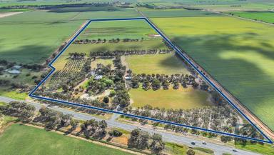 Lifestyle For Sale - VIC - Echuca - 3564 - Rural Escape on 100 Acres  (Image 2)