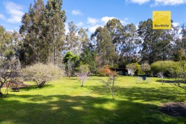 House For Sale - WA - Nannup - 6275 - 15 ACRES NESTLED IN THE BUSH  (Image 2)