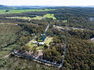 House Sold - TAS - Pipers River - 7252 - Private Country Retreat on 5 Acres  (Image 2)