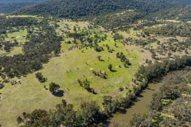 Lifestyle For Sale - NSW - Bigga - 2583 - Beautiful homestead, perfectly positioned on 160 Acres  (Image 2)