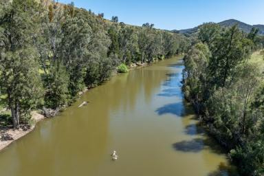 Lifestyle For Sale - NSW - Bigga - 2583 - Beautiful homestead, perfectly positioned on 160 Acres  (Image 2)