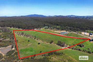 Residential Block For Sale - VIC - Axe Creek - 3551 - 17 ACRES – PEACE & TRANQUILITY  (Image 2)