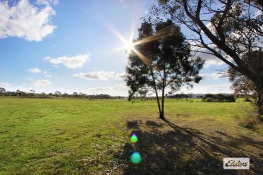 Residential Block For Sale - VIC - Axe Creek - 3551 - 17 ACRES – PEACE & TRANQUILITY  (Image 2)