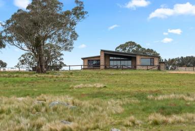 Lifestyle For Sale - NSW - Goulburn - 2580 - Luxury Country Living  (Image 2)
