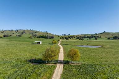 Mixed Farming For Sale - NSW - Tumut - 2720 - Nimbo Station  (Image 2)