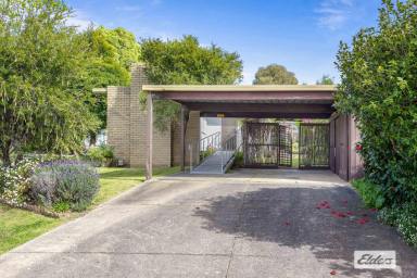 House For Sale - VIC - Ararat - 3377 - Mid-Century Charm in Quiet West End with Natural Light and Endless Potential  (Image 2)