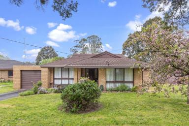 House For Sale - VIC - Warragul - 3820 - Spacious Brick Home on a Large Block with Shed - Perfect for Families, Investors, or Tradies!  (Image 2)