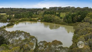 Acreage/Semi-rural For Sale - VIC - Main Ridge - 3928 - Exceptional 32-Acre Rural Retreat In Prime Peninsula Location  (Image 2)