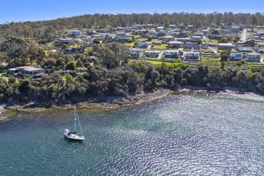 House Sold - TAS - Primrose Sands - 7173 - Breath-taking views adjoining the Waterfront Reserve  (Image 2)