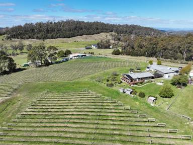 Acreage/Semi-rural For Sale - TAS - Loira - 7275 - Spring in Winter Brook  (Image 2)