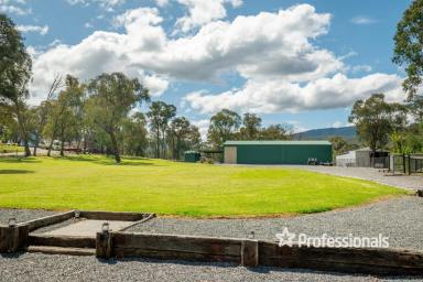 House For Sale - VIC - Gladysdale - 3797 - RENOVATED HOME, HUGE SHED...2 ACRES APPROX  (Image 2)