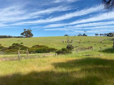 Residential Block For Sale - SA - American River - 5221 - Exceptional elevated lagoon and country views. Flat land build ready (STCC). Cannot be built out.  (Image 2)