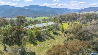 House For Sale - VIC - Myrtleford - 3737 - PANORAMIC VIEWS THAT CHANGE WITH THE SEASONS  (Image 2)