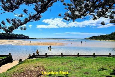 Residential Block For Sale - NSW - Moonee Beach - 2450 - Larger level land / opposite reserve / walk to beach.  (Image 2)