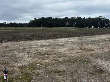Residential Block For Sale - NSW - Moonee Beach - 2450 - NEW PRICE / sought after Moonee Beach  (Image 2)