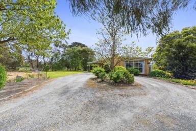 Lifestyle For Sale - VIC - Lang Lang - 3984 - Country Lifestyle Close to Town  (Image 2)