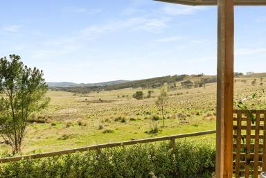 Lifestyle Sold - NSW - Goulburn - 2580 - The True Meaning Of Privacy!  (Image 2)