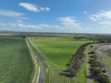 Cropping For Sale - VIC - Dreeite - 3249 - QUALITY COLAC – BEEAC DISTRICT COUNTRY  (Image 2)