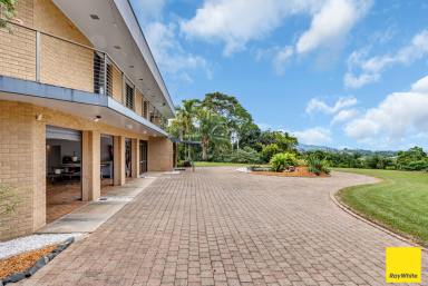 House Auction - QLD - Earlville - 4870 - PALATIAL HILLSIDE RESIDENCE OFFERING UNINTERUPTED CITY VIEWS AND PRIVACY  (Image 2)